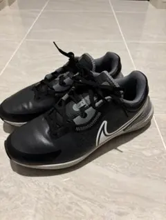 Nike インフィニティ プロ 2 ゴルフシューズ