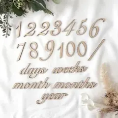 木製 レターバナー 月齢フォト 19点セット / Cタイプ