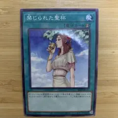 遊戯王 禁じられた聖杯