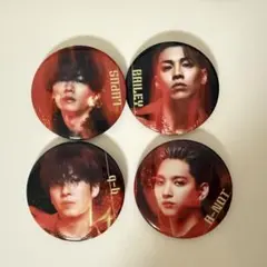 BOT THERAMPAGE 缶バッジ 4個セット