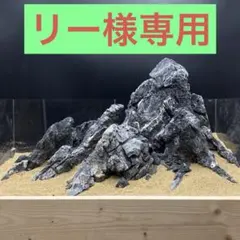 2025年最新】龍王石 親石の人気アイテム - メルカリ