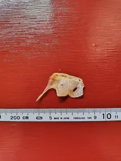 Item thumbnail for item edc71b21-6169-4e75-8911-6185ae541517