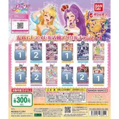 だれでもアイドル活動アクリルチャーム12個セット