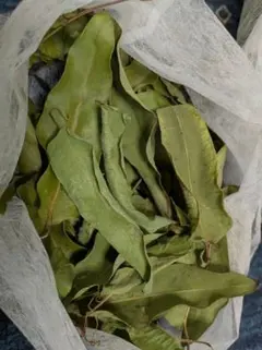 ドライ葉 レモンユーカリR7⑥ タンス防虫 安眠 車やお部屋に 大小ミックス葉