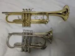 Item thumbnail for item f7495e4b-c3eb-4687-91b5-e455ed1f5e77