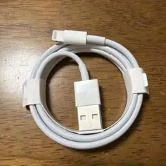 Apple Lightningケーブル ホワイト