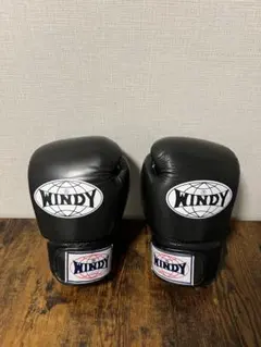 WINDY ボクシンググローブ 8オンス　ウィンディのサムネイル
