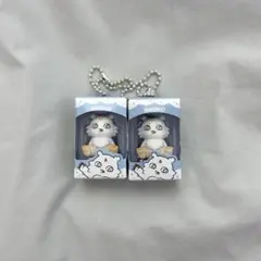 ちいかわ あのこ チョコボックス 2個セット