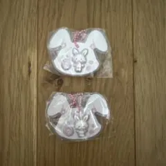 サンリオ　パッケージチャーム　ウィッシュミメール　2個セット