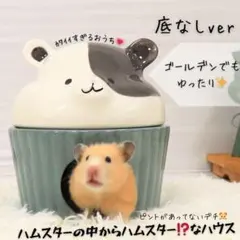 Item thumbnail for item 69890d6f-e9b5-4081-a4d1-0e2758fc0be1