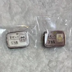 ちいかわ ピンズ 草むしり検定　セット　ハチワレ5級 うさぎ3級