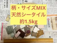 Item thumbnail for item 9e3cc2a6-ce8f-4f10-8056-4415b0e7adbf