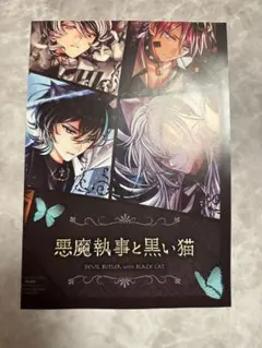 Item thumbnail for item 5e5d8ffe-ab0a-4e10-968b-d088e1cbd40a