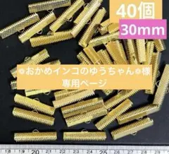 ❁おかめインコのゆうちゃん❁様 リクエスト 2点 まとめ商品