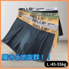 メンズ　ボクサーパンツ　L　5枚セット　下着　無地　前閉じ