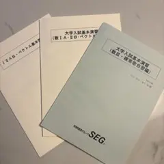 2026年最新】seg テキストの人気アイテム - メルカリ