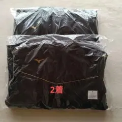 Item thumbnail for item 6d14b73b-3916-4325-95b5-fbd6a1a9c528