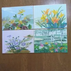 水彩画 花のセット 4点
