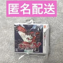 ポケモン　パッケージ&カートリッジキーホルダーコレクション Yのサムネイル