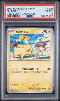 ポケパークのピカチュウ PROMO PCG-Pプロモカード 043/PCG-P - メルカリ