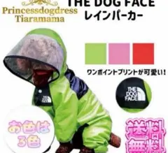 Item thumbnail for item d8a4361f-80fb-40fe-8fdd-4e758e9755d7