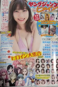 Item thumbnail for item 819711b0-d993-453b-ac54-67b4363dce6b