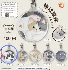 Stephnie(週末のみ受取評価)様 リクエスト 2点 まとめ商品