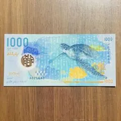 モルディブ 1000ルフィア（MVR）紙幣（海亀・ジンベイザメ） - メルカリ