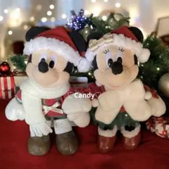 ディズニー クリスマス 2025 ミッキー ミニー ぬいぐるみバッジ タグ付き