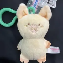 サンリオ　キャラクター大賞2026　マスコット　ザシキブタ