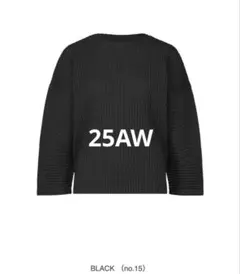 HOMME PLISSÉ ISSEY MIYAKE ブラック 長袖カットソー 2 - メルカリ