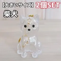 Item thumbnail for item ed1c6608-df5c-42ab-a629-338ce39e0d8e