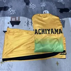 Item thumbnail for item 01ea9a7e-7ab0-49f1-89bc-e2bb903963f5