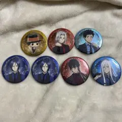 家庭教師ヒットマンREBORN! ホログラム缶バッジボタニカルシャツVer.