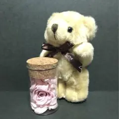 Item thumbnail for item 81c12a2a-f32c-45ba-a264-71a3aa0b57f1