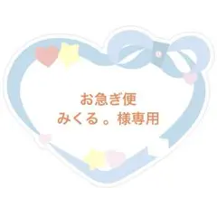 ◾️お急ぎ便◾️みくる 。様専用(デザイン決定後のご購入お願いします