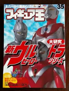 フィギュア王 No.35