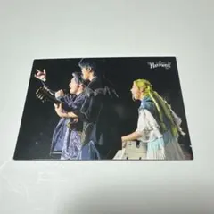 Mrs. GREEN APPLE Harmony 全員フォトカード044