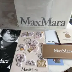 未使用　非売品　Max Maraオリジナルステッカー　冊子　ショッパー　セットのサムネイル