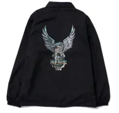 Item thumbnail for item 2ea3e6cc-60ec-4bc2-9dbd-cfc60edcdee0