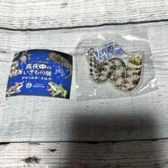 【ガチャ】真夜中のいきもの展 アクリルキーホルダー、クモウツボ