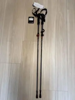 スキーストック GABEL 2015年製 伸縮可能 カーボン製 - メルカリ