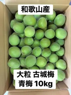 秀品 大粒 古城梅10kg 和歌山産 サイズ2L以上 秀品 大粒 古城梅10kg 和歌山産 サイズ2L以上 - メルカリ