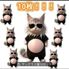 ぷっくりお腹サングラス猫ステッカー10枚セット