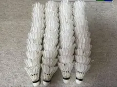 Item thumbnail for item 930ebf77-a20e-4e6e-9060-6b191a4ccbe8