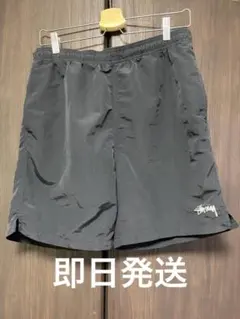 Stussy ステューシー フロントロゴ ナイロン スイムショーツ　水陸両用のサムネイル