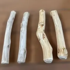 Item thumbnail for item e04c024e-4ab1-49d6-891c-3c1538b5a8fc