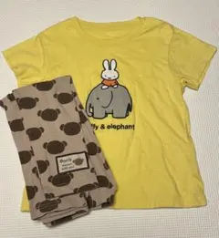 【2点セット】ミッフィー　夏