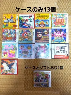 (注)dsソフトケースのみ