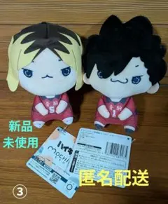 ハイキュー もちぴこぬいぐるみ 孤爪研磨 黒尾鉄朗 マスコット ノーマルサイズ③